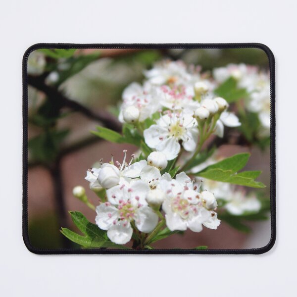 Item preview, blossom designed and sold by KathleenDawson.