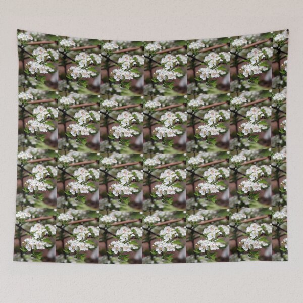 Item preview, blossom designed and sold by KathleenDawson.