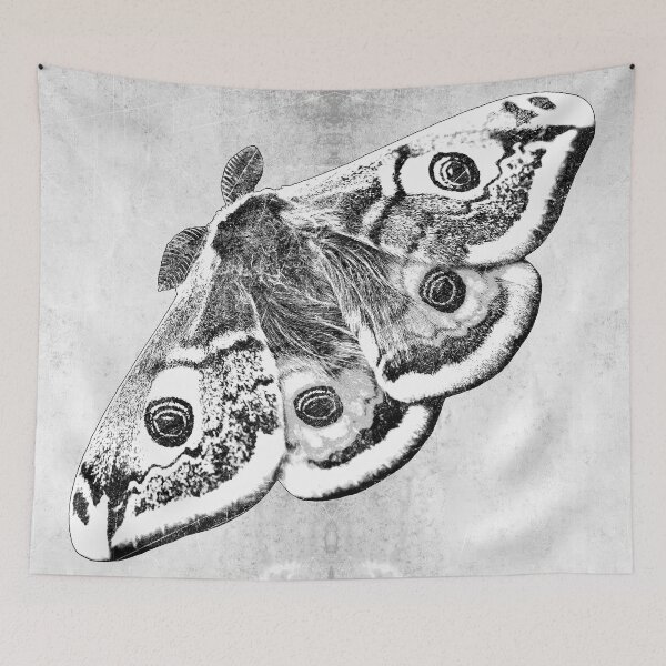 Item preview, Male Emperor Moth Eyespot Wings Dark Natural History Art designed and sold by Ghoul Enterprises.