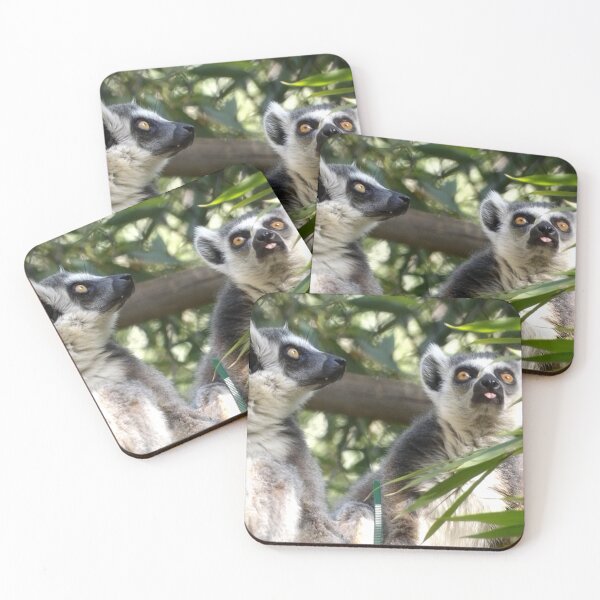 Item preview, Ringtail Boys designed and sold by Vixeni.
