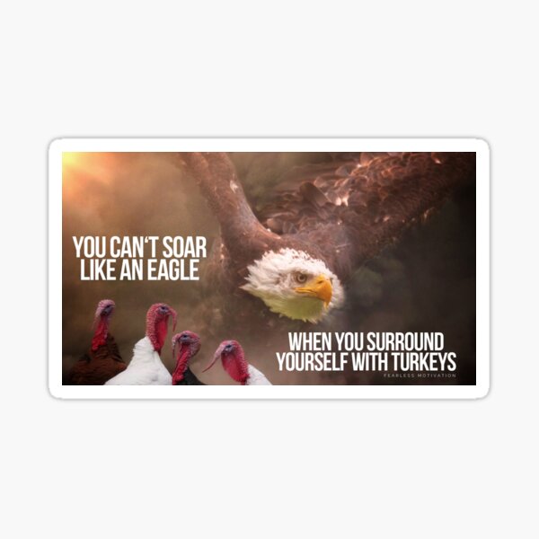 YOU CAN'T SOAR LIKE AN EAGLE... Sticker