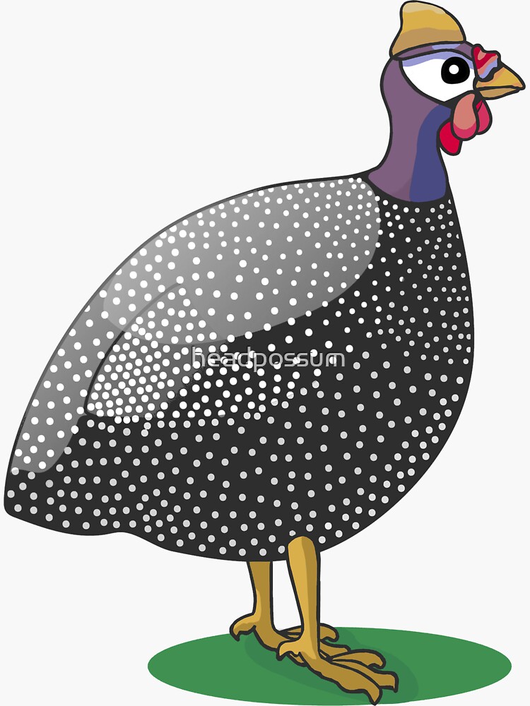 Guinea fowl / hen bird Sticker for Sale by headpossum