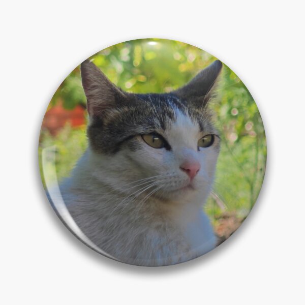Item preview, Relaxing Garden Cat Photography designed and sold by MB-CatPrints.
