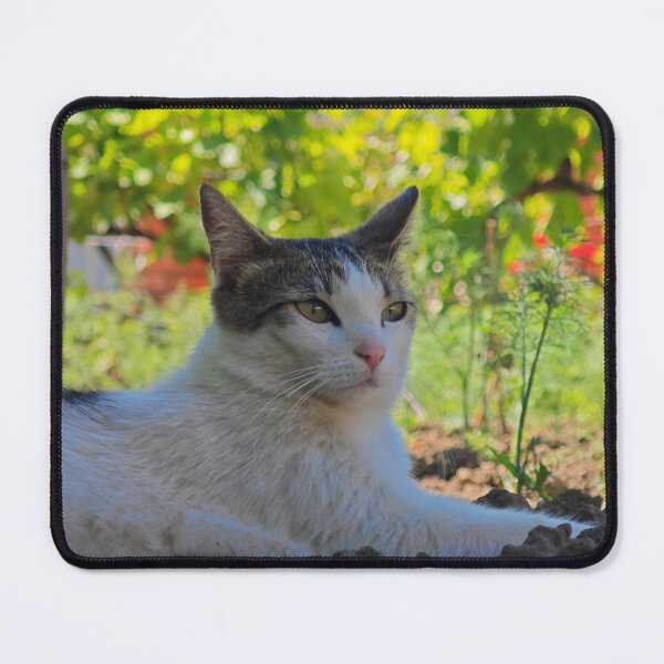 Item preview, Relaxing Garden Cat Photography designed and sold by MB-CatPrints.