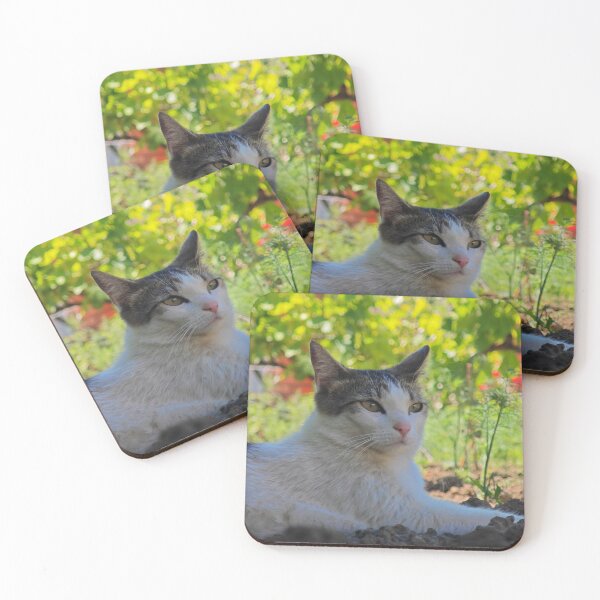 Item preview, Relaxing Garden Cat Photography designed and sold by MB-CatPrints.