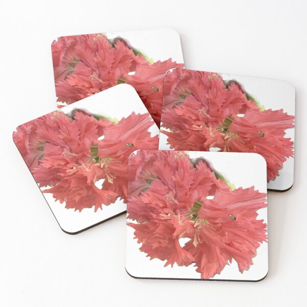 Item preview, Vivid Coral Pink Fringed Carnation Blossom Cutout designed and sold by BalkanBloom.