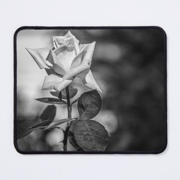 Item preview, Black and White Rose Fine Art Monochrome Botanical designed and sold by MariaAbaza.