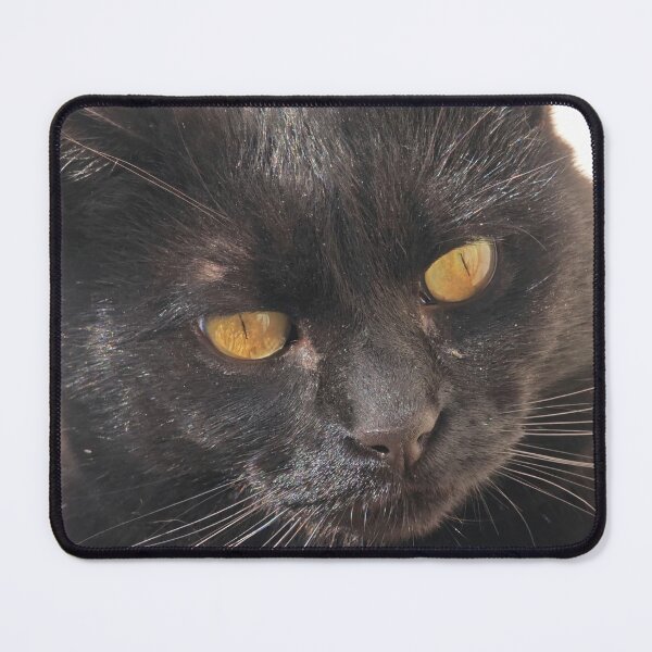 Item preview, Thoughtful Black Cat Portrait designed and sold by MB-CatPrints.