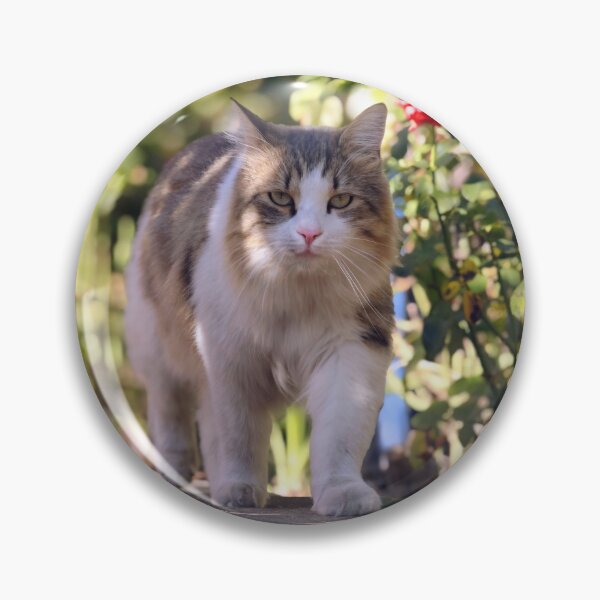 Item preview, Majestic Cat Walking Through a Rose Garden designed and sold by MB-CatPrints.