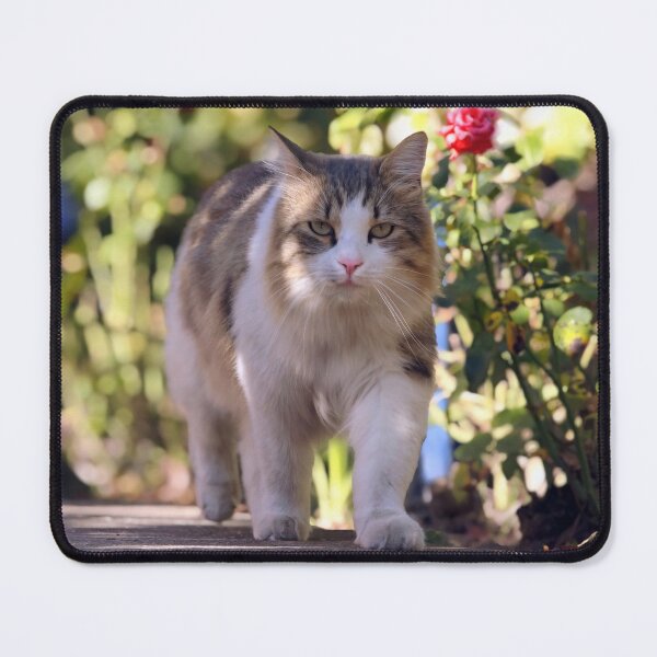 Item preview, Majestic Cat Walking Through a Rose Garden designed and sold by MB-CatPrints.