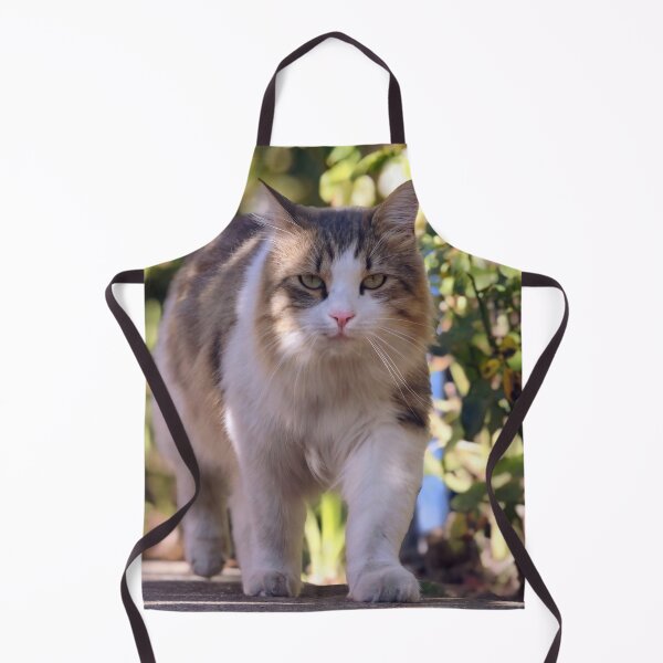 Item preview, Majestic Cat Walking Through a Rose Garden designed and sold by MB-CatPrints.