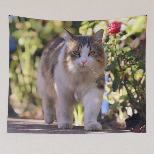 Item preview, Majestic Cat Walking Through a Rose Garden designed and sold by MB-CatPrints.