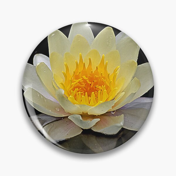 Item preview, Lotus or water lily designed and sold by machaphoto.