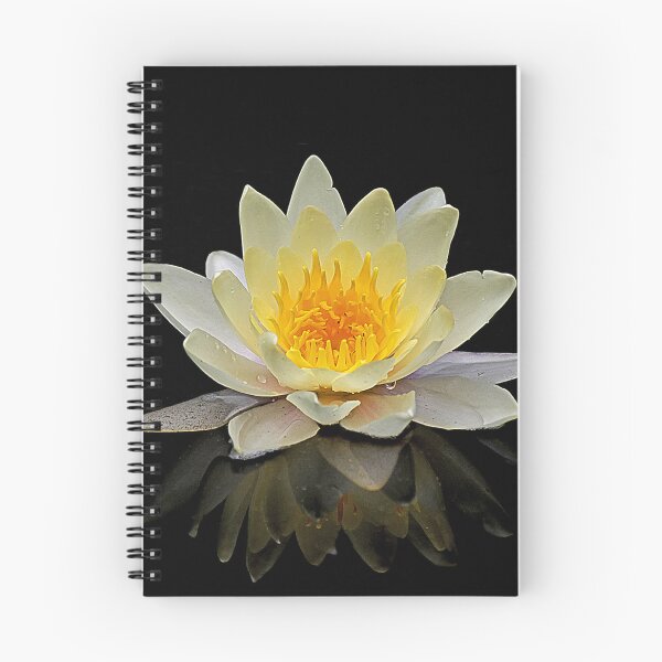Item preview, Lotus or water lily designed and sold by machaphoto.