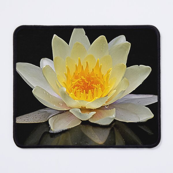 Artikelvorschau, Lotus oder Seerose entworfen und verkauft von machaphoto.