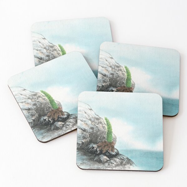Item preview, February 6th birthday flower Orostachys japonica designed and sold by birthflower.