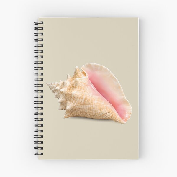 Item preview, Queen Conch Shell designed and sold by Poplartree.