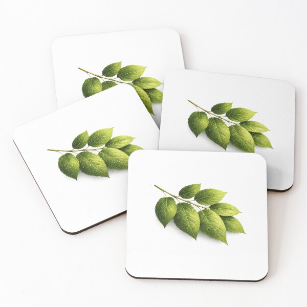 Item preview, Natural Forest Leaf Aesthetic PNG designed and sold by Ishratparween11.