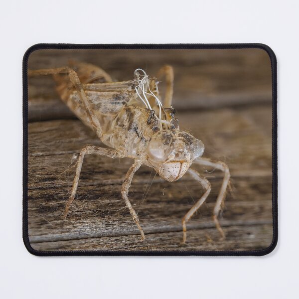 Item preview, What Remains designed and sold by Ralph Goldsmith.