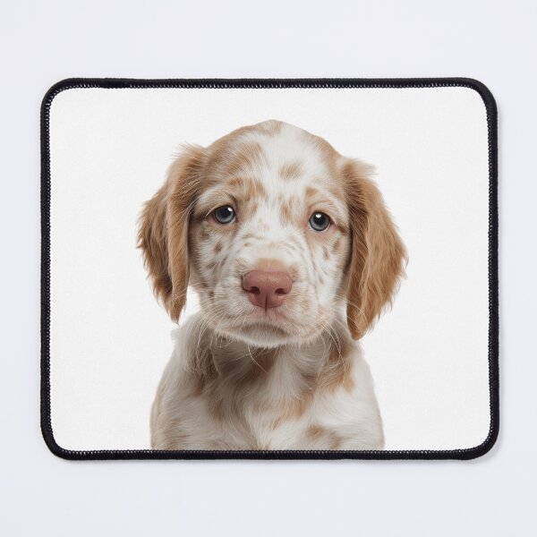 Item preview, Adorable Clumber Spaniel puppy for Cute Clumber puppy lovers designed and sold by LazyOwlStore.