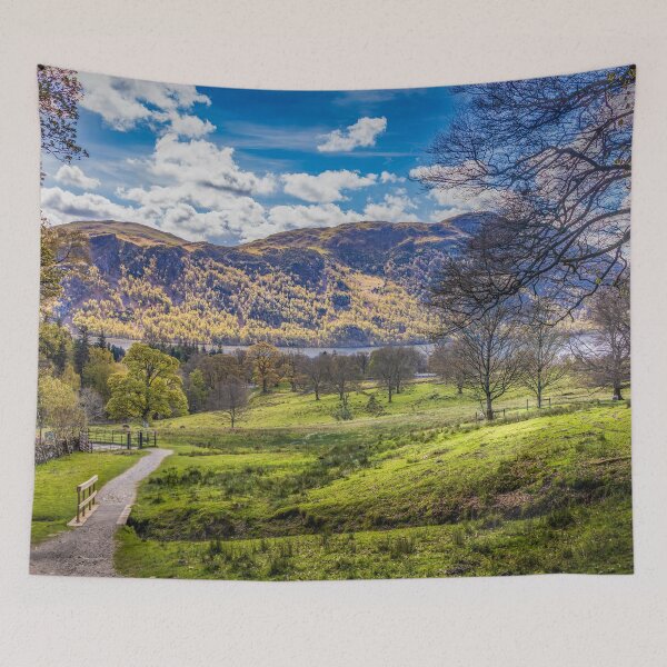 Item preview, Approach to Aira Force, Cumbria. designed and sold by Viv Thompson Photography .