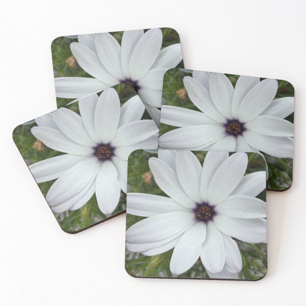 Item preview, Peace and serenity in a flower designed and sold by Betsy Phillips.