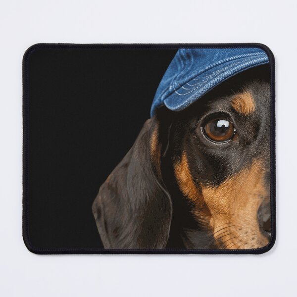 Item preview, Yorkie Drinking Beer Funny Dog Meme designed and sold by ForThe2F0X1Folks.