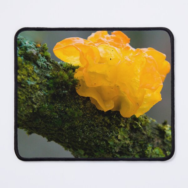 Item preview, Glowing Golden Jelly Fungus designed and sold by ShotsbyDesiree.