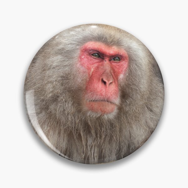 Item preview, The Alpha Male of Yudanaka designed and sold by Tunablessed.