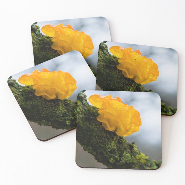 Item preview, Translucent Yellow Jelly Fungus on Mossy Branch designed and sold by ShotsbyDesiree.