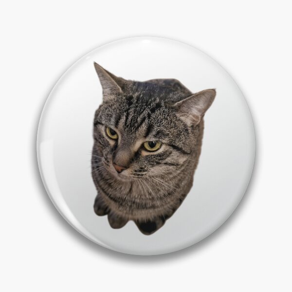 Item preview, Monday Mood Cat™ | Unimpressed Tabby Stare | Funny Grumpy Cat Meme Sticker & Cat Lover Gift designed and sold by Dyan4.