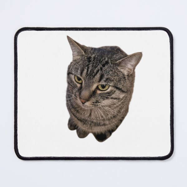 Item preview, Monday Mood Cat™ | Unimpressed Tabby Stare | Funny Grumpy Cat Meme Sticker & Cat Lover Gift designed and sold by Dyan4.