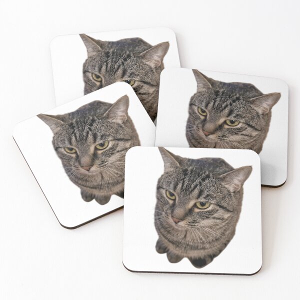 Item preview, Monday Mood Cat™ | Unimpressed Tabby Stare | Funny Grumpy Cat Meme Sticker & Cat Lover Gift designed and sold by Dyan4.