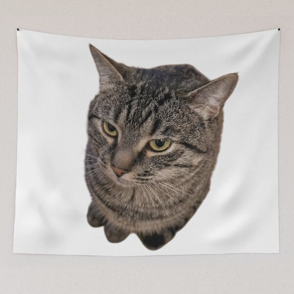 Item preview, Monday Mood Cat™ | Unimpressed Tabby Stare | Funny Grumpy Cat Meme Sticker & Cat Lover Gift designed and sold by Dyan4.