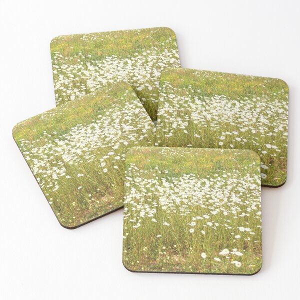 Item preview, Field full of Daisies designed and sold by Murph's Images.