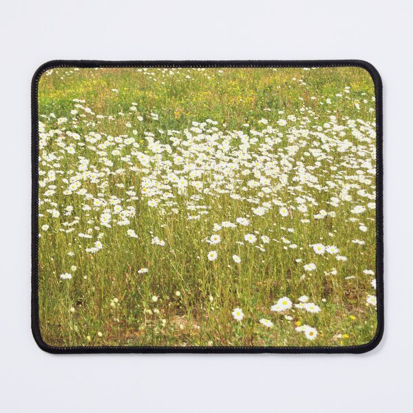 Item preview, Field full of Daisies designed and sold by Murph's Images.