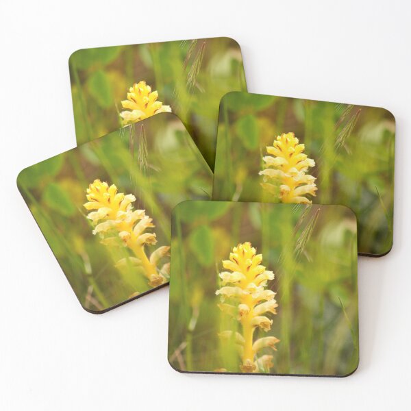 Item preview, Yellow Orchid designed and sold by Murph's Images.
