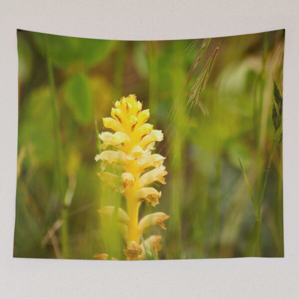 Item preview, Yellow Orchid designed and sold by Murph's Images.