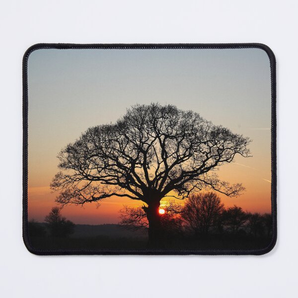 Item preview, Sunset Behind the Tree designed and sold by Murph's Images.