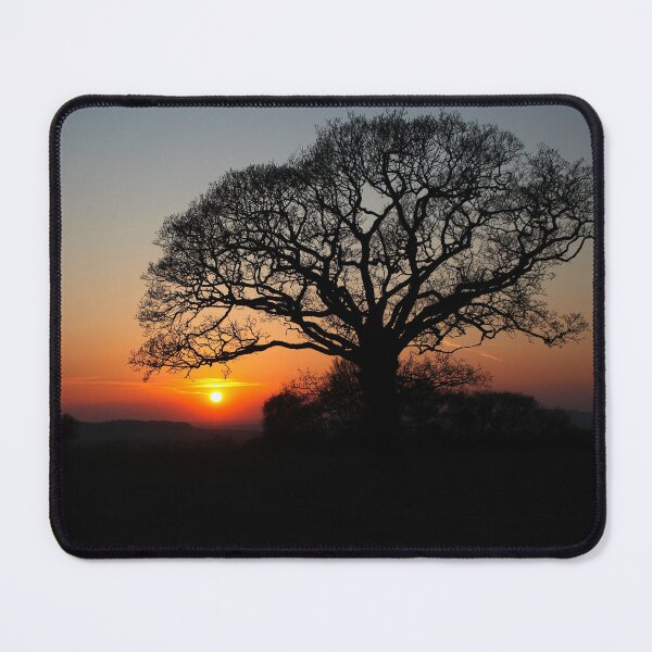 Item preview, Sunset by the Tree designed and sold by Murph's Images.