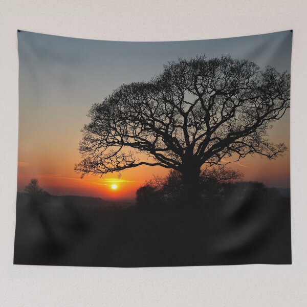 Item preview, Sunset by the Tree designed and sold by Murph's Images.