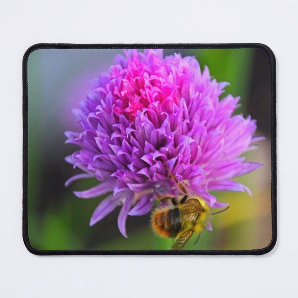 Item preview, Beeholding The Chives designed and sold by vernonplatt.