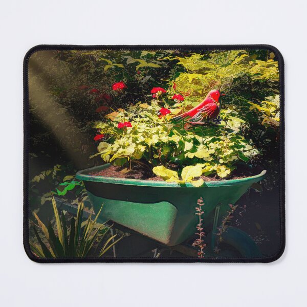 Item preview, Bird in a Barrow designed and sold by Steve Walser.