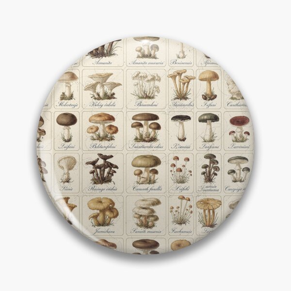 Item preview, Vintage Mushroom Identification Chart Botanical designed and sold by PictorialWhimsy.