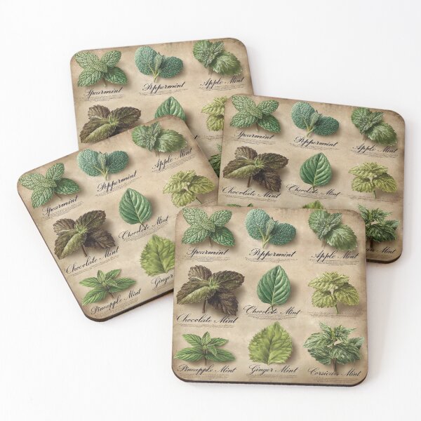 Item preview, mint types  designed and sold by northern T.