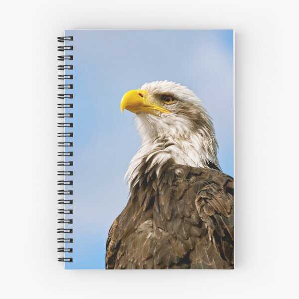 Item preview, Retrato artístico de águila calva en la naturaleza designed and sold by Vac1.