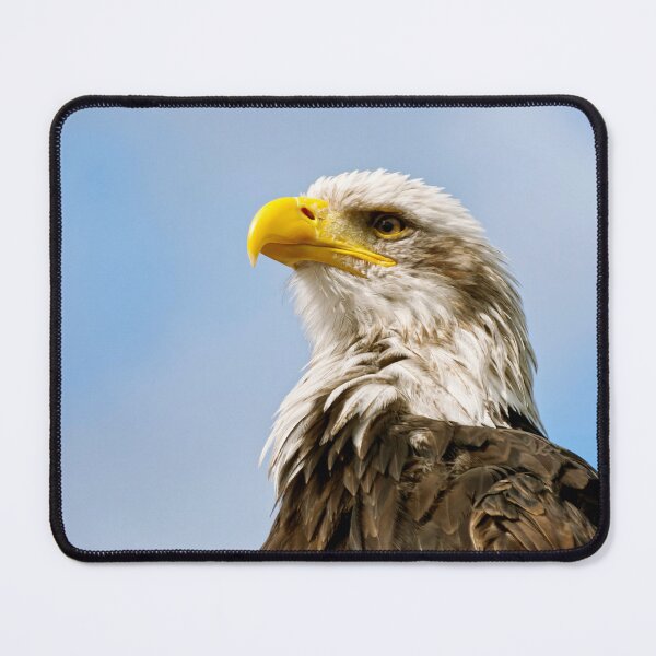 Item preview, Bald Eagle Wildlife Portrait Art designed and sold by Vac1.