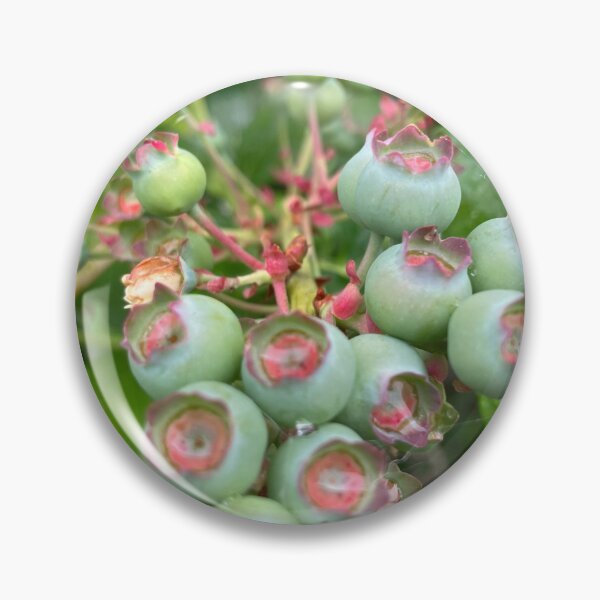 Item preview, Green Blueberries in the Rain  designed and sold by Amanda1775.