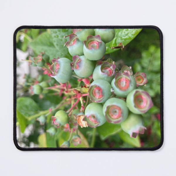 Item preview, Green Blueberries in the Rain  designed and sold by Amanda1775.