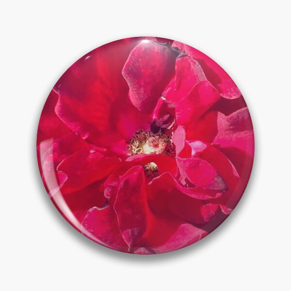 Item preview, Deep Velvet Crimson Red Rose Bloom Close Up designed and sold by BalkanBloom.